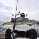 마블피시 이미지