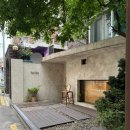 노이뜨레(Noi Tre) | [서울/마포] 홍대 상수 뇨끼 파스타 “노이뜨레” 내돈내산