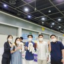 크러쉬 푸들 이미지