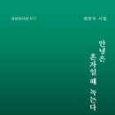 최연수 시집 『안녕은 혼자일 때 녹는다』 이미지