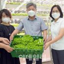 사랑나무유통 - 화순군 | 사랑나무유통
