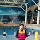 월계효태권도 이미지