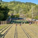 쇠평어린이공원 | 울산 아이와 놀만한 곳 쇠평어린이공원 레일썰매와 놀이터