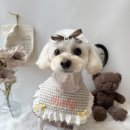 피움동물병원 이미지