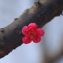 문향 - 용인시 수지구 신봉1로347번길 6 | 문향