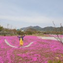 용담가족테마공원2 이미지