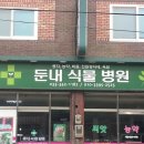 둔내식물병원