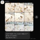 자일양산서비스(주) | 양산 애견유치원 추천 | 미용 • 호텔까지 가능한 ‘ 요요랜드 ’ 내돈내산 후기