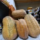 삼성건강원 이미지