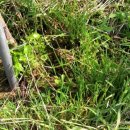 두꺼비PC 이미지