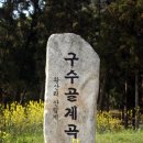 봉동 구수골 계곡 이미지