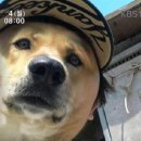 돌쇠집 네이버블로그
