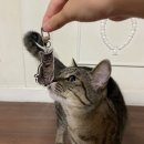 명화사진관 이미지