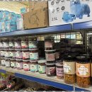 벤지애견 이미지