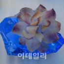 서울공예재료