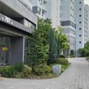 다정동_가온707동 네이버블로그