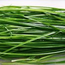 아틀라스 트레이닝(Atlas) 이미지