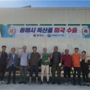 동해시-31 일간투데이