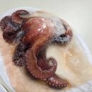 시흥드림바다 낚시터 이미지