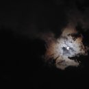 달빛에 물들이고 이미지