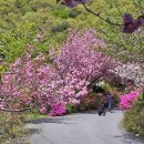 만수노인복지원 이미지