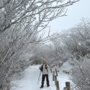 (주)신광택시 전문정비 | 한라산 당일치기 등반 후기 | 새벽 산행, 백록담은 역시 운이었다 뚜벅이 여행기