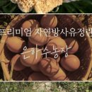 은하수농장 이미지