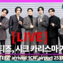 조각미인 이미지