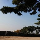 백운행정사사무소 이미지