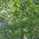 마음연구소민박 이미지