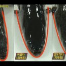 장흥숯불장어