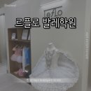 하남미사루나발레학원 | [하남 미사] 르플로발레학원 || 다양한 레벨 성인발레 원데이 후기