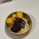 서울 3대뷔페 소공동 롯데 라세느 주중 디너 후기 메뉴 랍스터