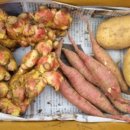 혜성농장 이미지