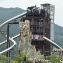 경남거제 가볼만한곳 ‘거제식물원’ 정글돔 새둥지 유모차 휠체어 남녀노소 내돈내산후기