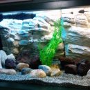 토속어류생태관 이미지