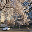 여의서로 이미지