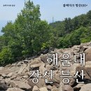 센텀동국아파트(장산동국) | 블랙야크 명산100+ 해운대 장산 등산 벡스코 출발 동국아파트 하산