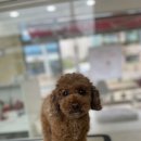 마음이네 멍발소 이미지