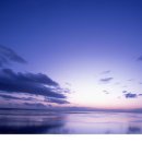 수 덕 정 이미지