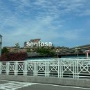 휴먼안경 | 8편: 싱가포르 유니버셜 스튜디오 오픈런 후기