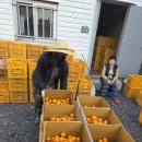 대학당안경 이미지