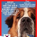 강아지와 고양이(Dog & Cat) 이미지