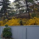 개나리주유소 이미지