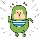 단콩 이미지