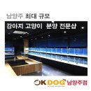 오케이독 이미지