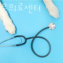 로잔동물의료센터 이미지