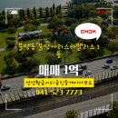 늘공인중개사사무소 이미지