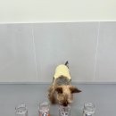 아이멍그라운드 이미지