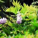 무릉회관 이미지